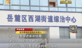 长沙最新资讯爆料,揭秘城市热点事件背后的真相