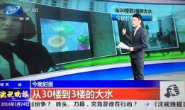 沈阳最新爆料新闻,揭秘某重大事件背后真相